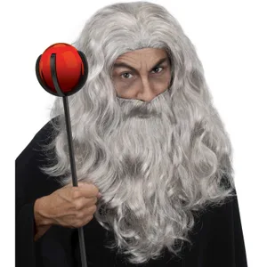 WIZARD WIG & BEARD GRAY