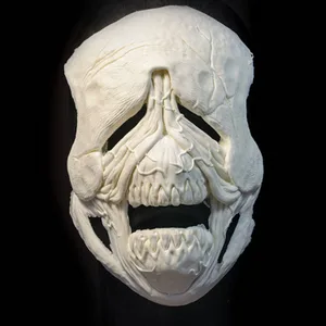 SKIN & VEINS FULL FACE FOAM PROSTHETIC