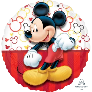 18" MICKEY PORTRAIT HX