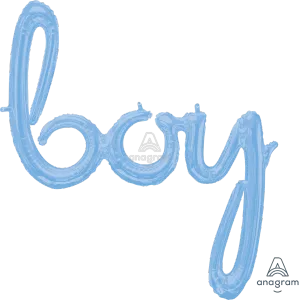 BOY PASTEL BLUE SCRIPT PHRASE