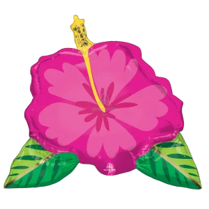 BEAUTIFUL TROPICAL HIBISCUS SUPER SHAPE
