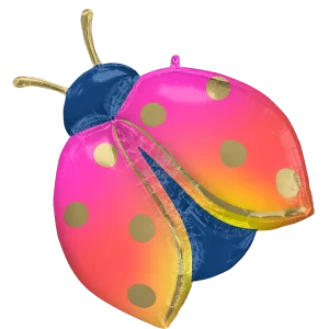 COLORFUL LADYBUG SUPER SHAPE