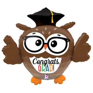 22" DIMENSIONALS GRAD OWL MULTI-SIDED SHAPE