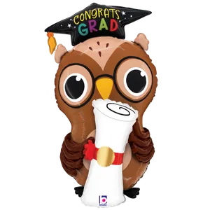 30" GRAD OWL DIPLOMA SHAPE