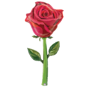 65" FRESH PICKS SATIN ROSE