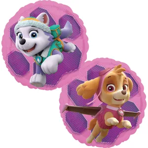 18" PAW PATROL SKYE & EVEREST HX 