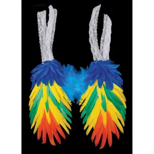 RAINBOW FEATHER WINGS