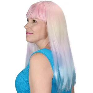 24'' PASTEL OMBRE WIG
