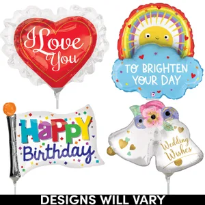 14" EVERYDAY SHAPES AIR-INFLATED ASST