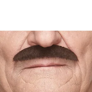 SHERIFF FAKE MUSTACHE BROWN