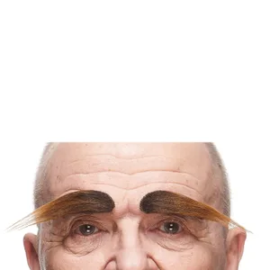 BUSHY EYEBROWS BROWN