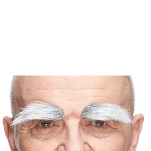 FAKE BUSHY EYEBROWS GRAY & WHITE
