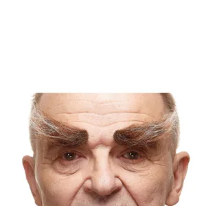 EYEBROWS BROWN & GRAY