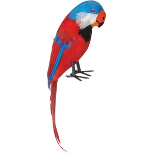 PARROT 14"