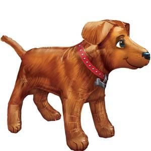 GOLD DOG ULTRASHAPE