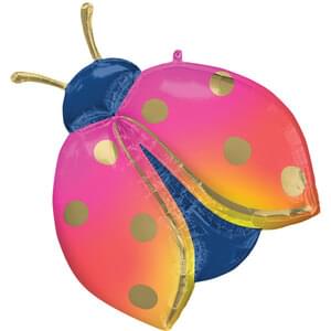 COLORFUL LADYBUG SUPER SHAPE