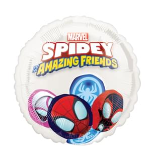 SPIDEY & HIS AMAZING FRIENDS INSIDERS
