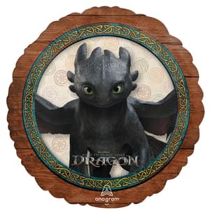 18" HOW TO TRAIN YOUR DRAGON HX