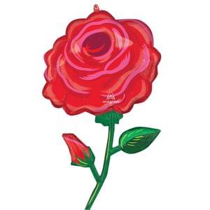 ROSE RADIANCE SUPERSHAPE XL