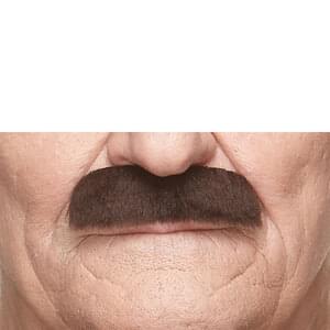 GRANDPA'S FAKE MUSTACHE BROWN