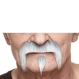 GRANDPA'S FAKE MUSTACHE & BEARD GRAY & WHITE