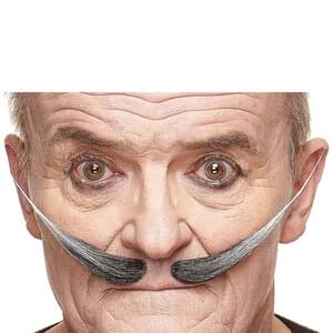 DALI FAKE MUSTACHE SALT & PEPPER