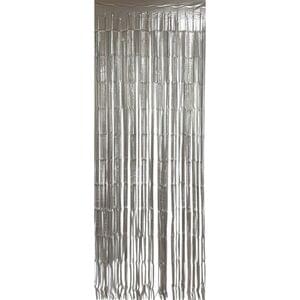 SILVER MATTE FOIL FRINGE CURTAIN