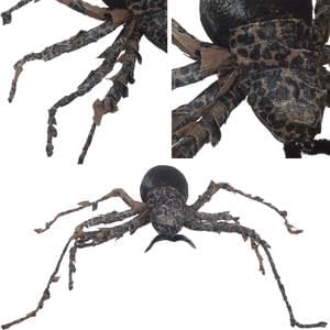 23" NIGHTMARE SPIDER